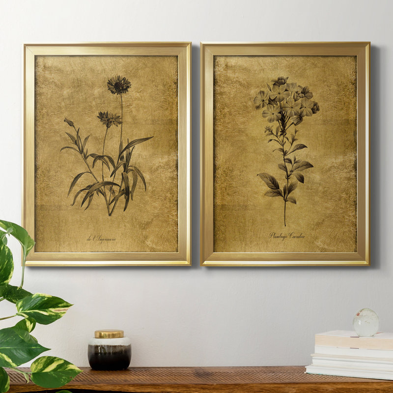 Gold Framed Botanical Sketch Canvas Print Set
