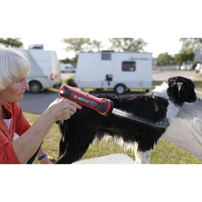 Rheem Hotwave Multipurpose Heated Hose Sprayer