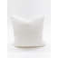 Pillow Cover & Insert-1721266899-1721266897-1721266902