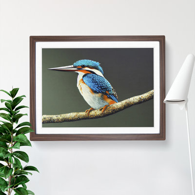 Captivating Kingfisher Bird - Framed Print
