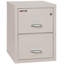 Fireproof 2 - Drawer File Cabinet-218168