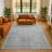 Premium Machine Washable Tara AMF1918 Border Rug-98820425