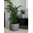 Handmade Vertical Garden-873889405-873889402