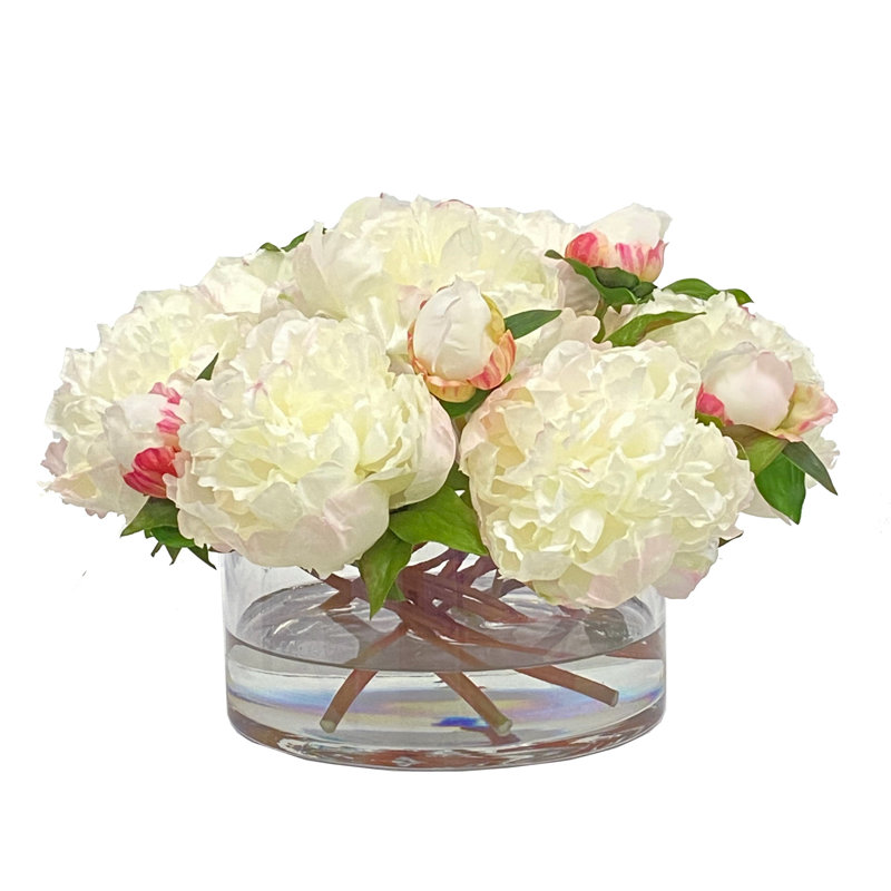 Peony In Open Cylinder Vase