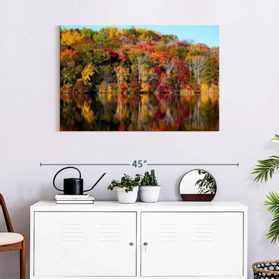 Forêt d'automne Alvord