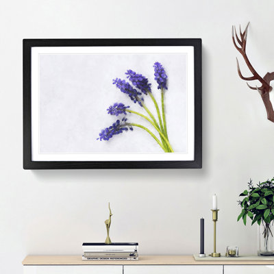 Grape Hyacinth Flower - Single Picture Frame Print on MDF