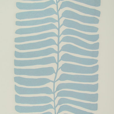 Rio Vine