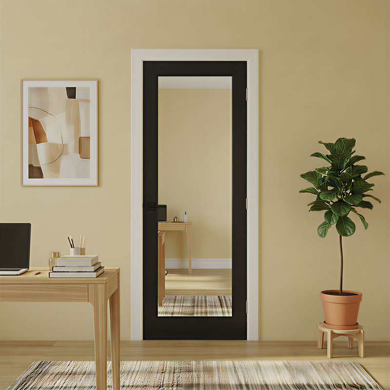 Portes de placard à miroir noires 1 porte Lite, 28 po x 80 po