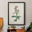 Toile encadrée de qualité supérieure Traditional Botanical II - prête à être accrochée-1499685928-1499685935