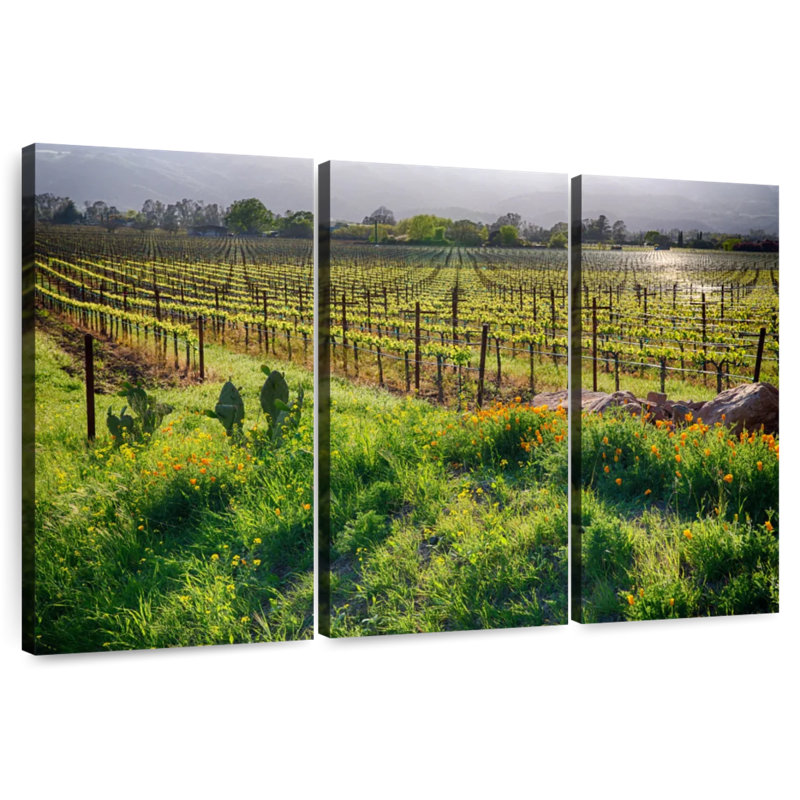 Alvord Sunrise In The Vineyard, H 28 po x l 45 po