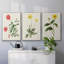 " Flowers Of The Seasons X " 3 - Pieces-91891113-91891114