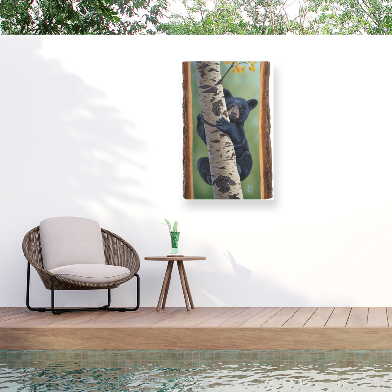 Jeff Hoff, toile d'ours noir Aspen, H 12 po x l 19 po