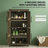 Home Cabinet-1817586691