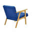 Fauteuil d'appoint, fauteuil rembourré avec siège à coussin, fauteuil d'appoint simple pour la maison-13142307-236250301