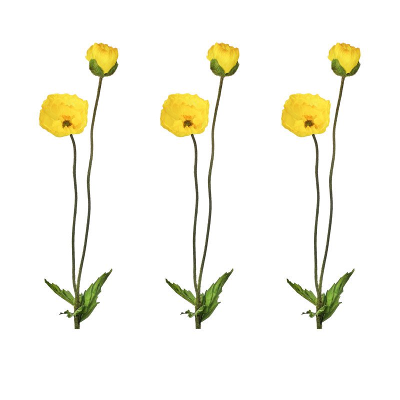 Coquelicot d'été + bourgeon 29 po , Jaune