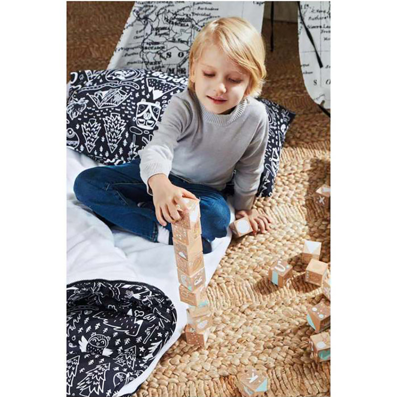 Asweets Etched Childrens Wooden Educational Illustrated Play Blocks