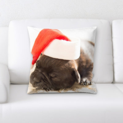 Aiden Microsuede Reversible Throw Pillow