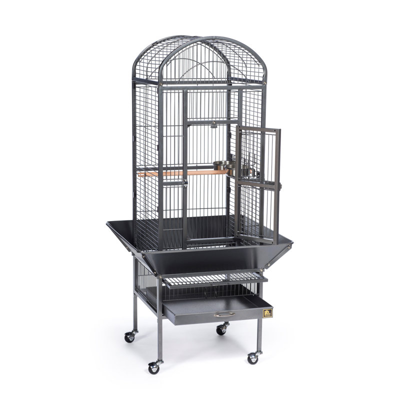 Cage à oiseau Lucian, Fini noir martelé, H 54,625 po x l 18 po x P 18 po