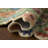 Rifle Paper Company x Loloi Edith Ivory / Multi  Area Rug-129439504-126258009