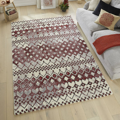 Plush Terracota Area Rug
