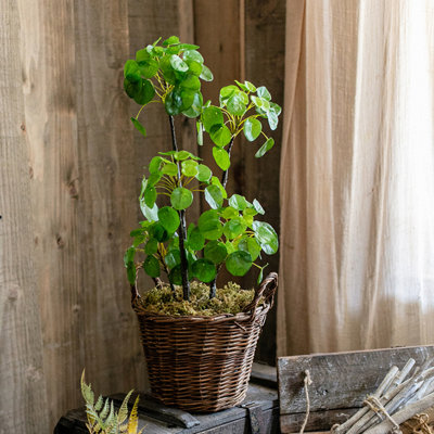 Plante pilea artificielle 26,4 po en pot