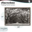 Cadre flottant Georgia Stroll Tree Tunnel, design par Nathan Larson-1806945380-1806945381