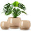 Ceramic Pot Planter-534234029-534234028