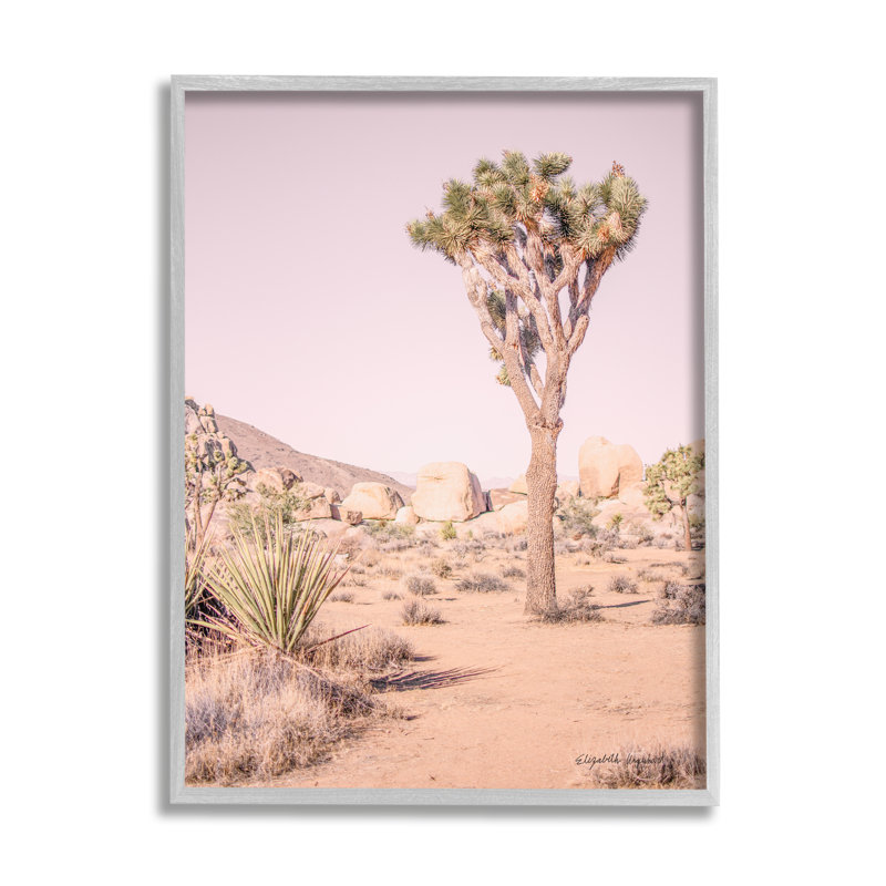 «Desert Tree And Agave Plant Sun Bleach Sky Grey Farmhouse», estampe numérique encadrée, art texturé par Elizabeth Urquhart