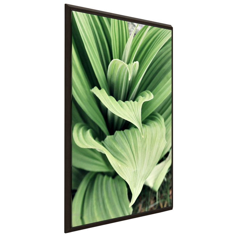 «Green Leaf Blooms I», reproduction de peinture à l'aquarelle, H 33,5 po x l 21,5 po x P 2 po, Cadre flottant espresso
