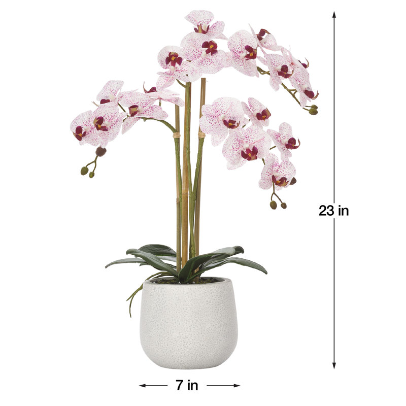 Faux orchidée Phalaenopsis, Blanc / rose
