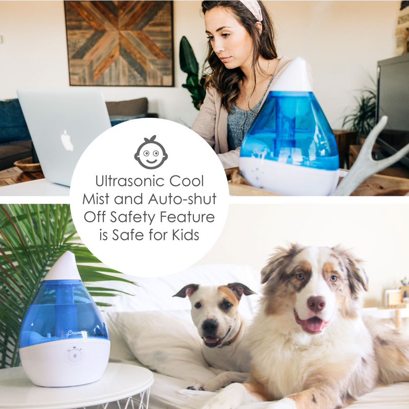 Blue and White Ultrasonic Cool Mist Humidifier, 1 Gallon