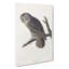 Great Cinereous Owl by John Audubon - Wrapped Canvas Painting-55316046