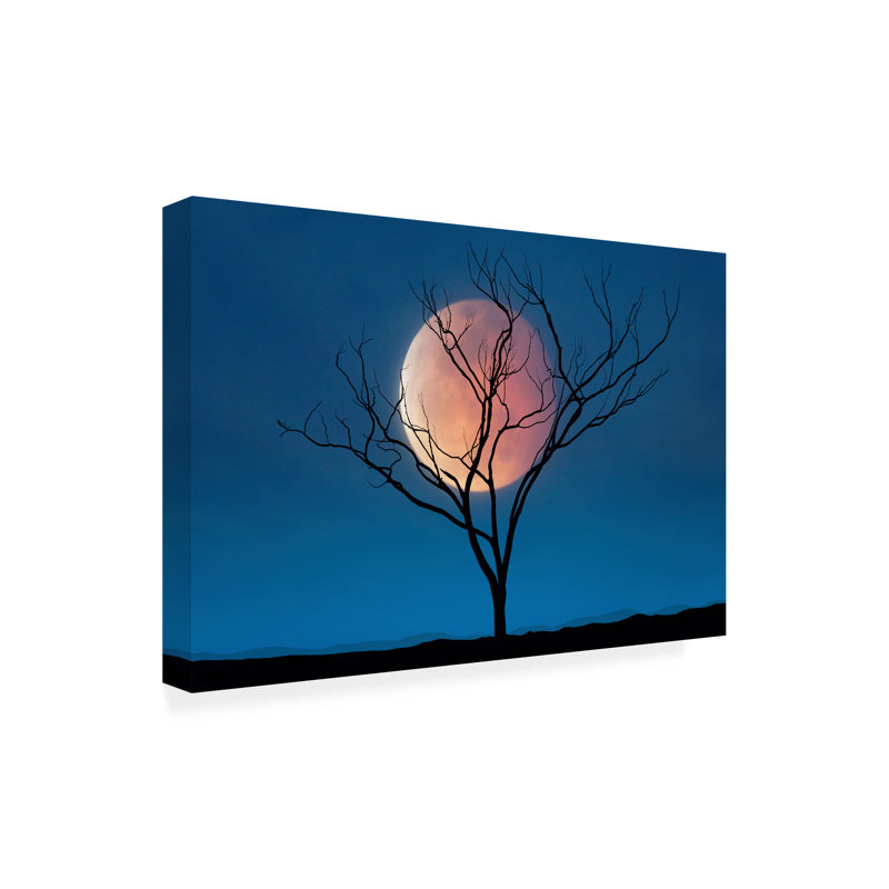 «Landscape Celestial Affair II», impression sur toile, H 19 po x l 12 po x P 2 po