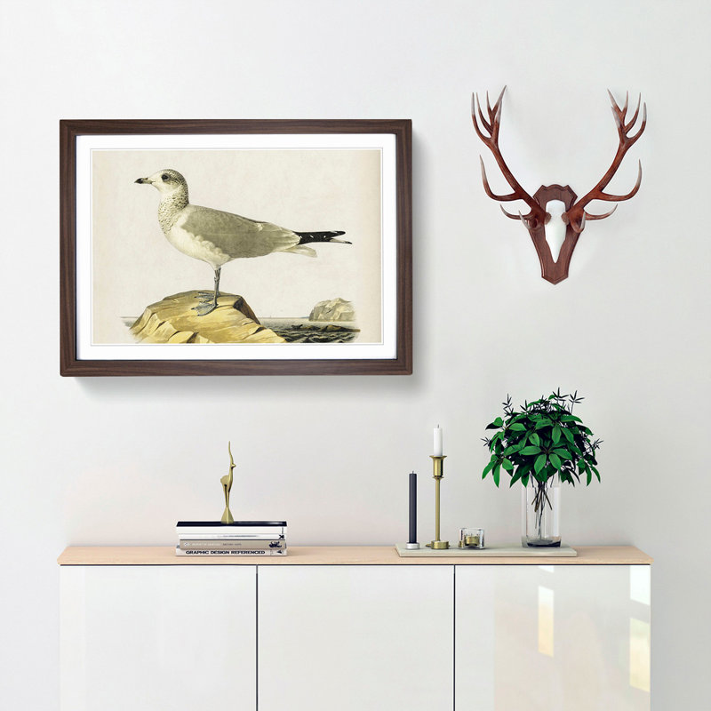 Common Gull by Von Wright - Picture Frame Painting Print, 36cm H x 48cm W x 2cm D, Walnut Framed