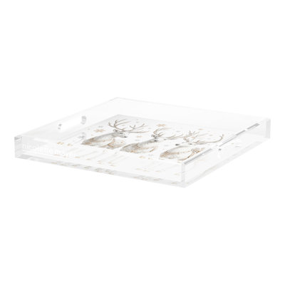 Acrylic Decorative Tray