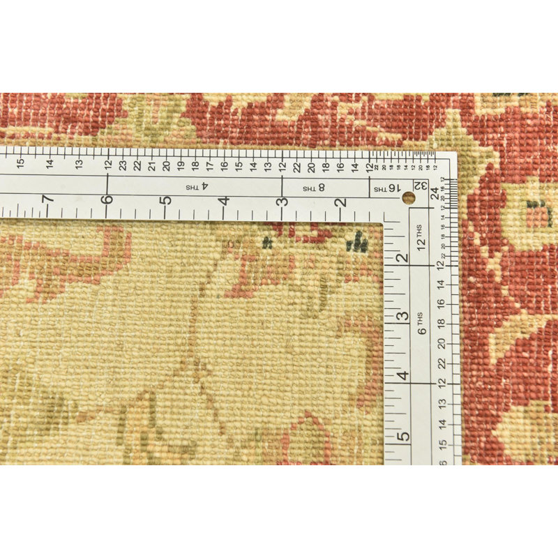 Runner Olson Cream Rug