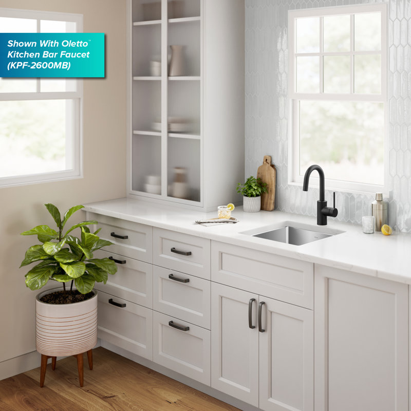 Évier de cuisine en acier inoxydable KRAUS Standart Pro, H 10 po x l 17 po x L 17 po, Bol simple