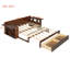 Lit de jour avec bureau amovible-251928105-251928107