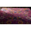 Geomar Floral Area Rug-28136957