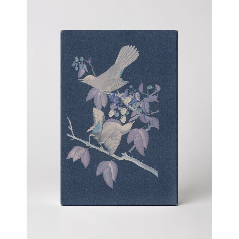 Northern Mockingbird (1827) - Portrait, art mural sur toile, 12" W x 18" H