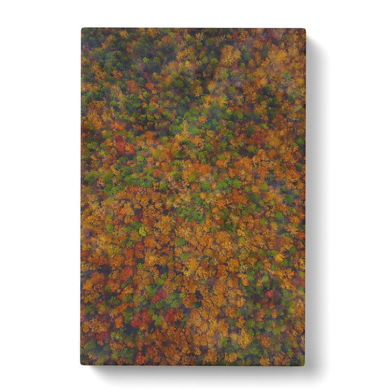 Thousands Of Trees - Wrapped Canvas Print, 50cm H x 35cm W x 3cm D