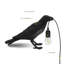 Adasia Resin Novelty Lamp