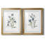 Linen Botanical III - ensemble de 2 reproductions d'art-114830215-44249097-44249110