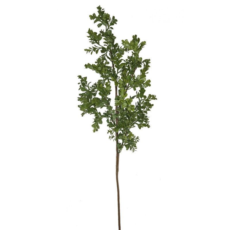Buis en aérosol, plantes et arbres