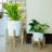Ceramic Pot Planter