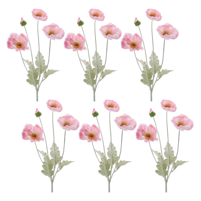 Vaporisateur floral coquelicot, Rose
