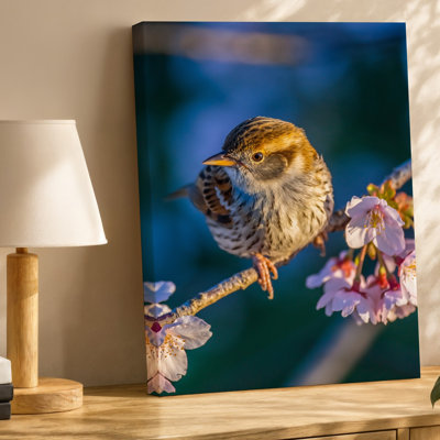 Canvas A Charming Small Bird Perched Gracefully On A Delicate Branch Wall Art Adorned With Soft Pink Cherry Blossoms Showcasing Canvas Wall Art