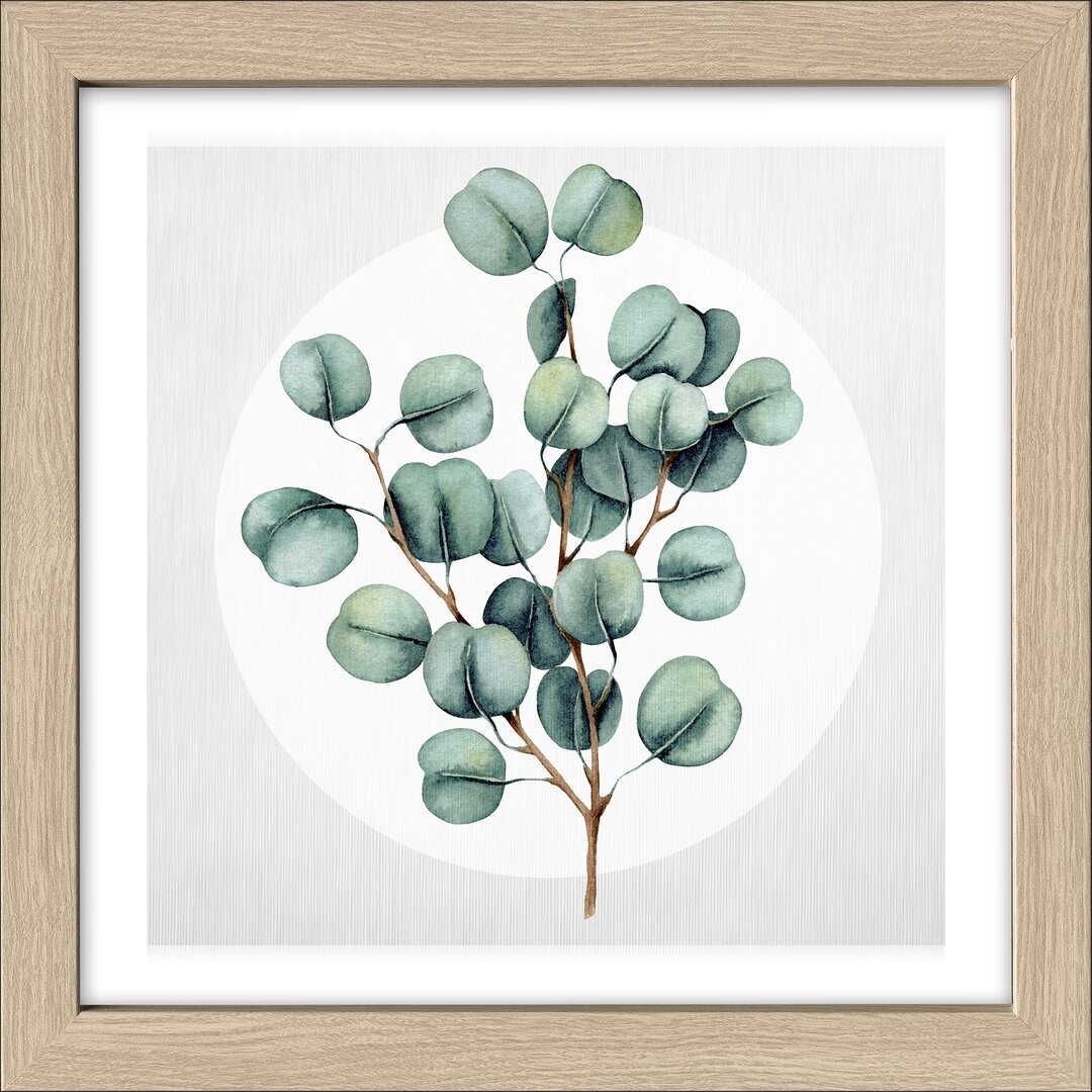 Gerahmtes Poster Diff. Eucalyptus Branches III