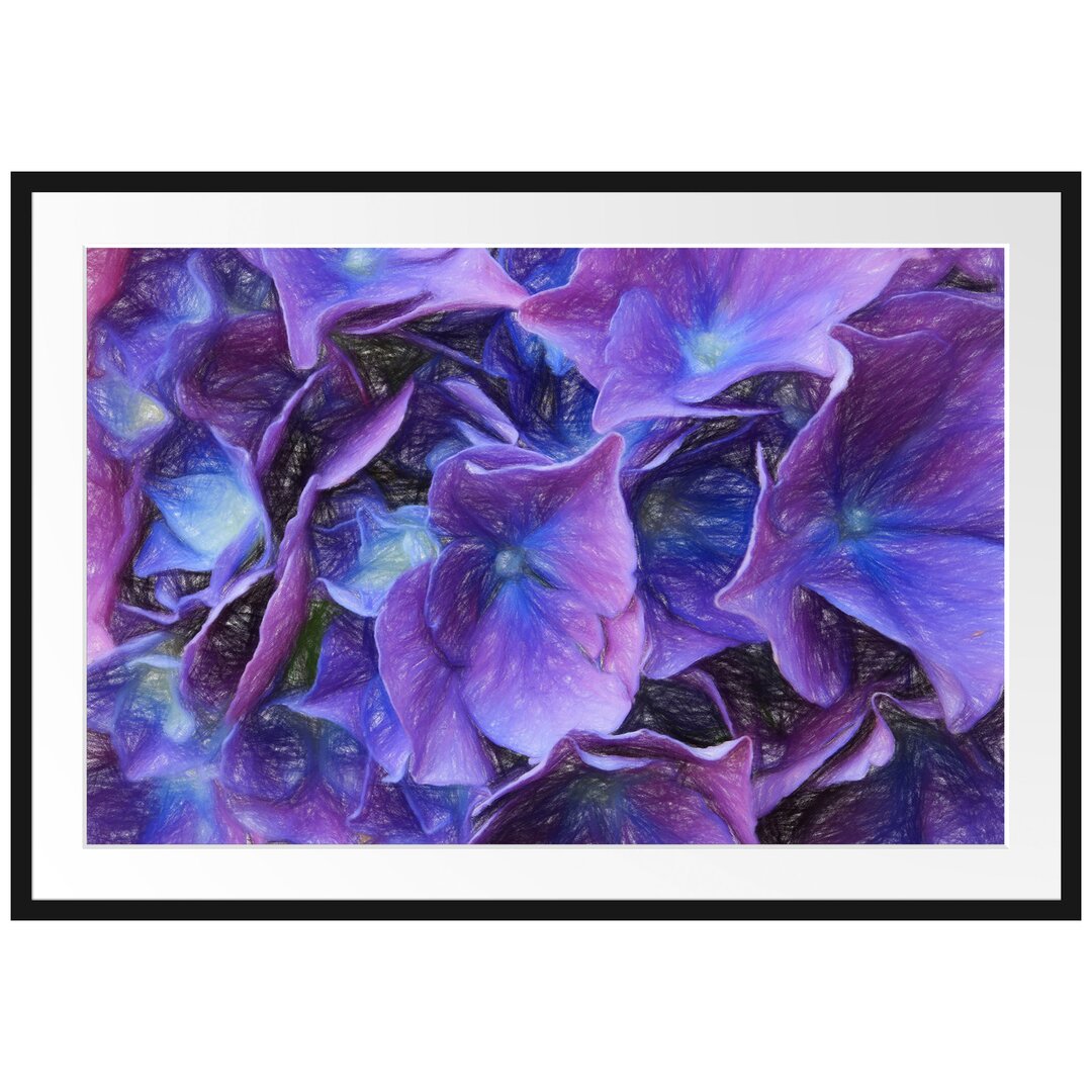 Gerahmter Fotodruck Hydrangea Flower