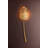 SEYCHELLES 2 Light Wall Sconce by Corbett Lighting-98242905